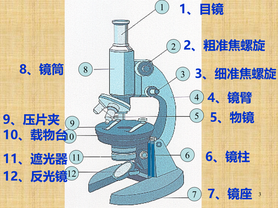 七级生物上显微镜的结构和使用.ppt_第3页