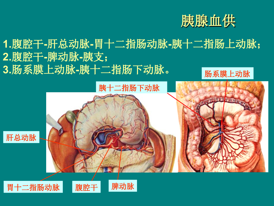 胰腺肿瘤影像学诊断ppt课件.ppt_第3页