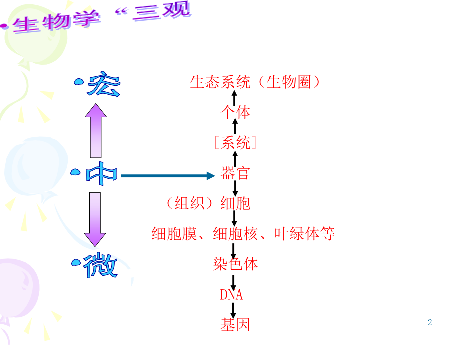 生态系统生物圈个体系统器官组织细胞细胞膜细概论.ppt_第2页