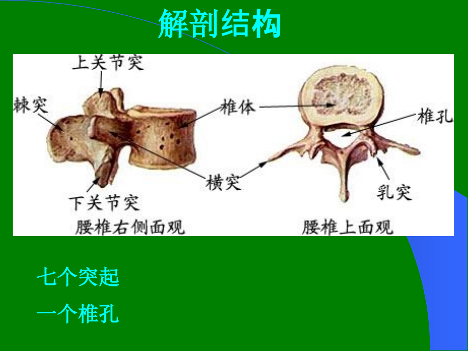 腰椎骨折患者的护理ppt课件.ppt_第3页