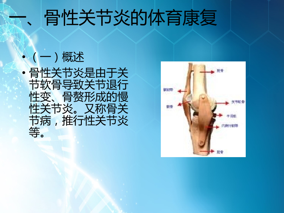 运动系统疾病的体育康复ppt课件.ppt_第3页