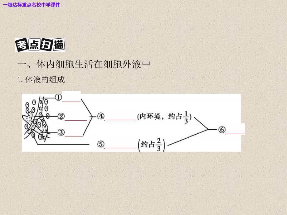 高三生物一轮复习讲人体内环境的稳态与调节PPT课件.ppt_第3页