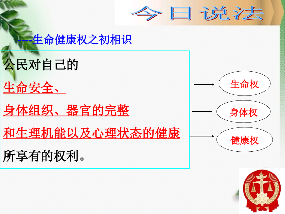 法律保护我们的生命健康权1.pptx_第2页