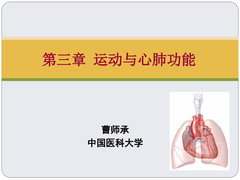 运动与心肺功能.pptx_第2页