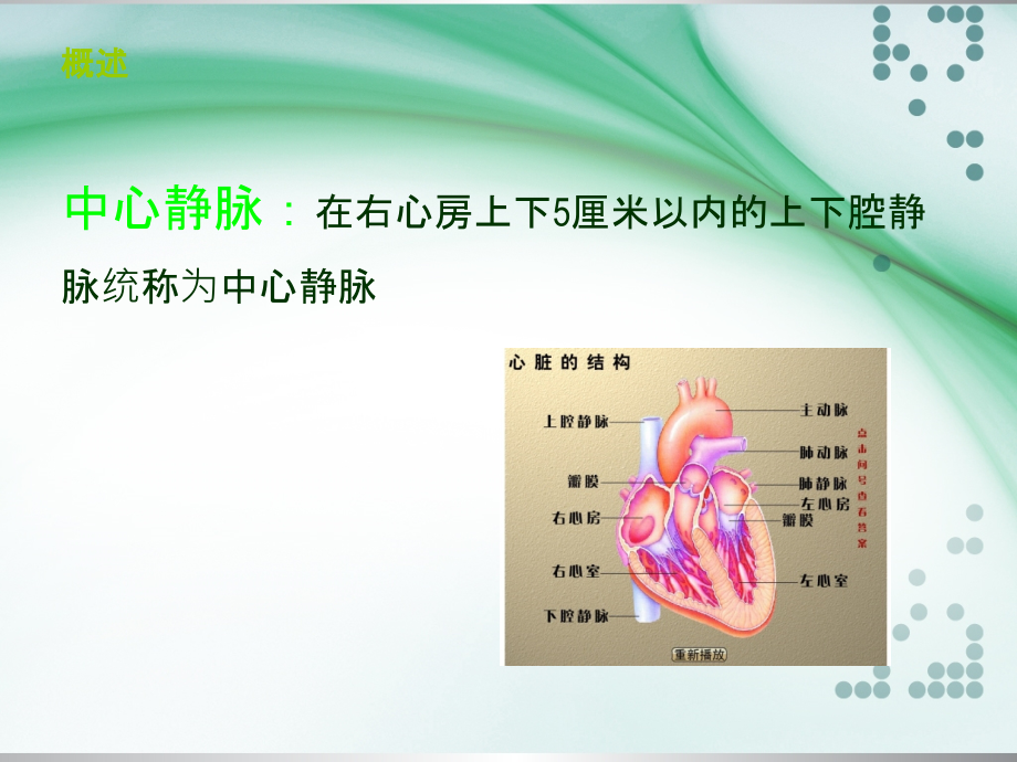 中心静脉导管护理ppt课件.ppt_第3页