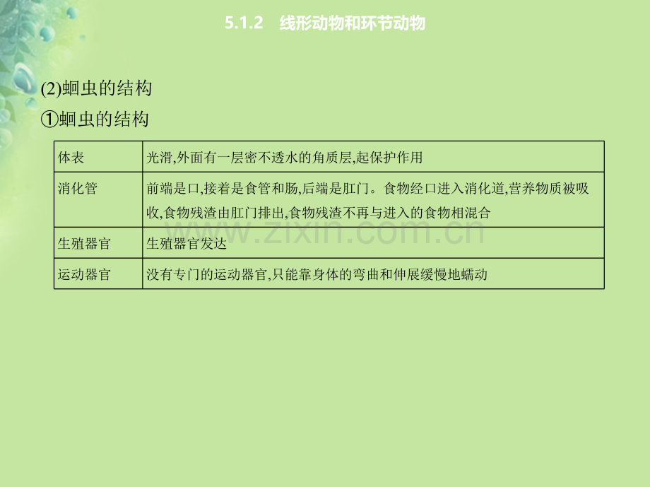 八年级生物上册512线形动物和环节动物课件新版新人教版.pptx_第2页