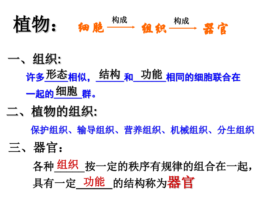 七年级科学生物体的结构层次5.pptx_第3页