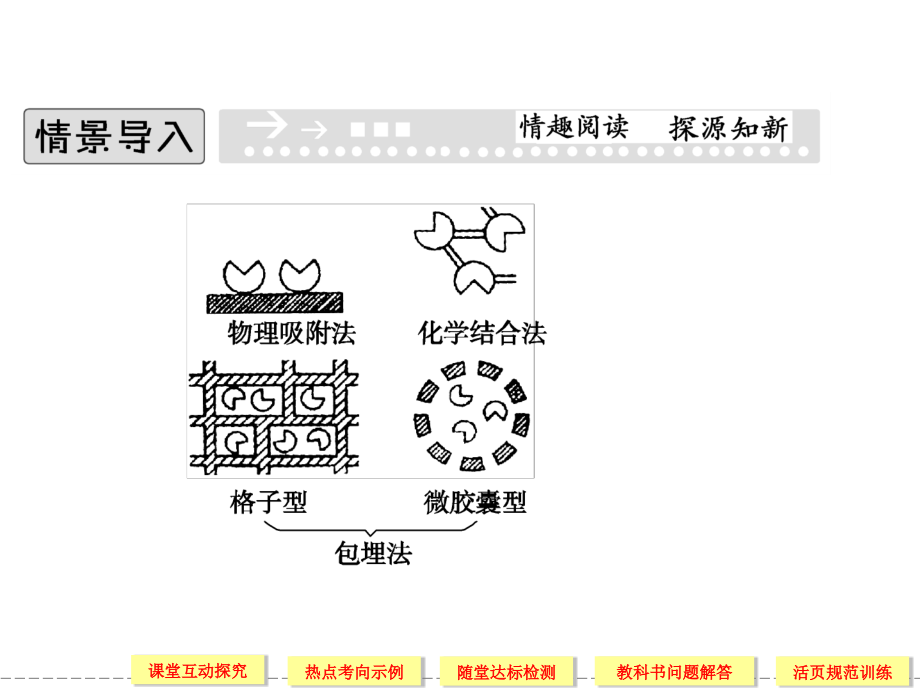 2012高二生物同步43酵母细胞固定化人教版选修I28张.pptx_第2页