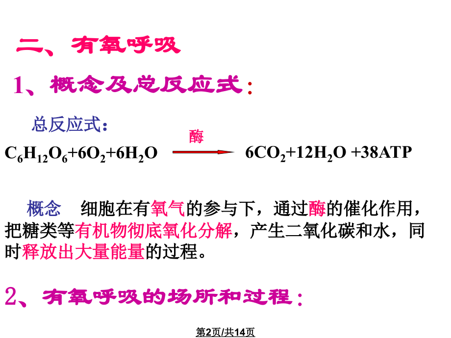 高三生物生物呼吸作用.pptx_第2页