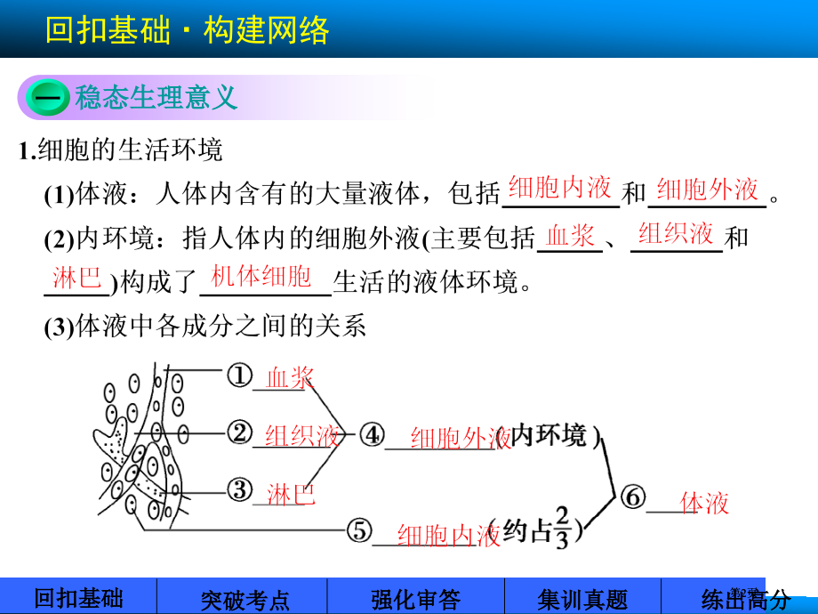 届高考苏教版生物大一轮公开课一等奖优质课大赛微课获奖课件.pptx_第2页