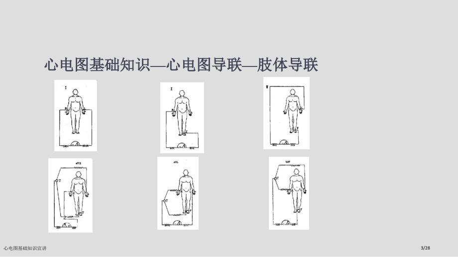 心电图基础知识宣讲.pptx_第3页