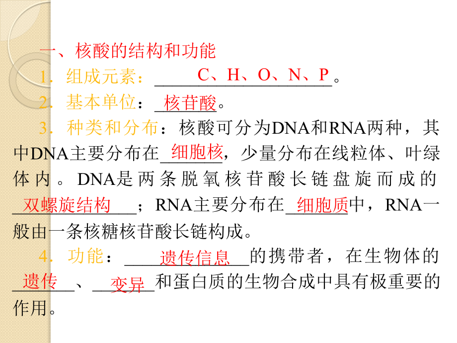 高三生物复习-遗传信息的携带者——核酸细胞中的糖类和脂质安徽.pptx_第3页