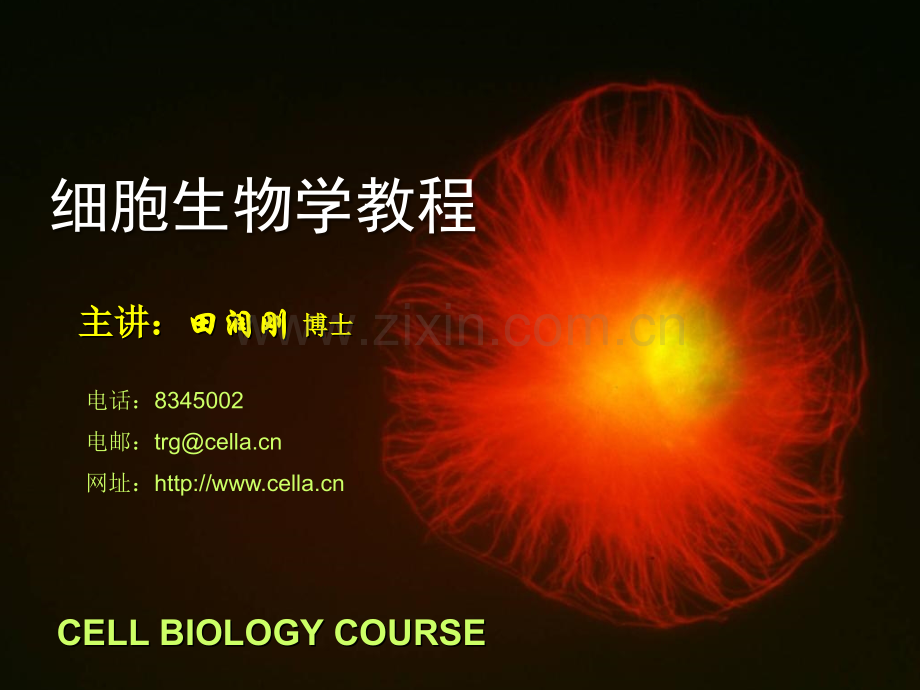 细胞生物学教程.pptx_第1页