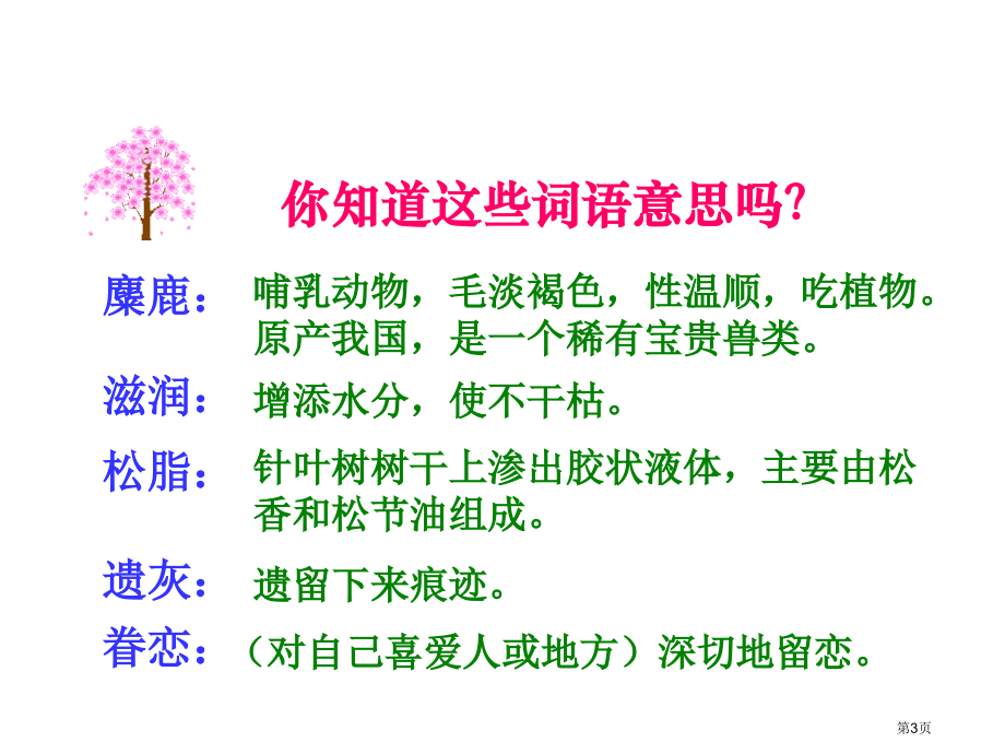 15这片土地是神圣的课件市公开课金奖市赛课一等奖课件.pptx_第3页