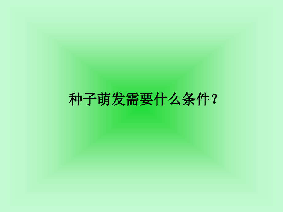 鄂教版科学四年级下册播种发芽.pptx_第3页