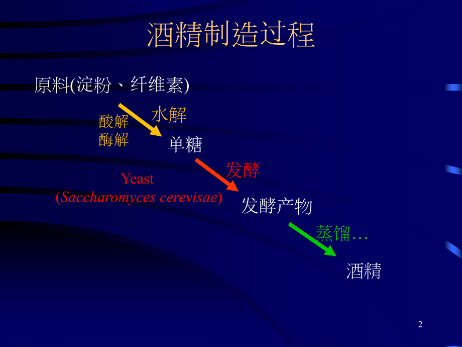 酒精发酵工艺过程.pptx_第2页