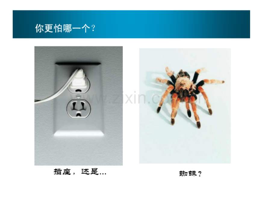 进化心理学——从基因的角度鸟瞰人类.pptx_第3页