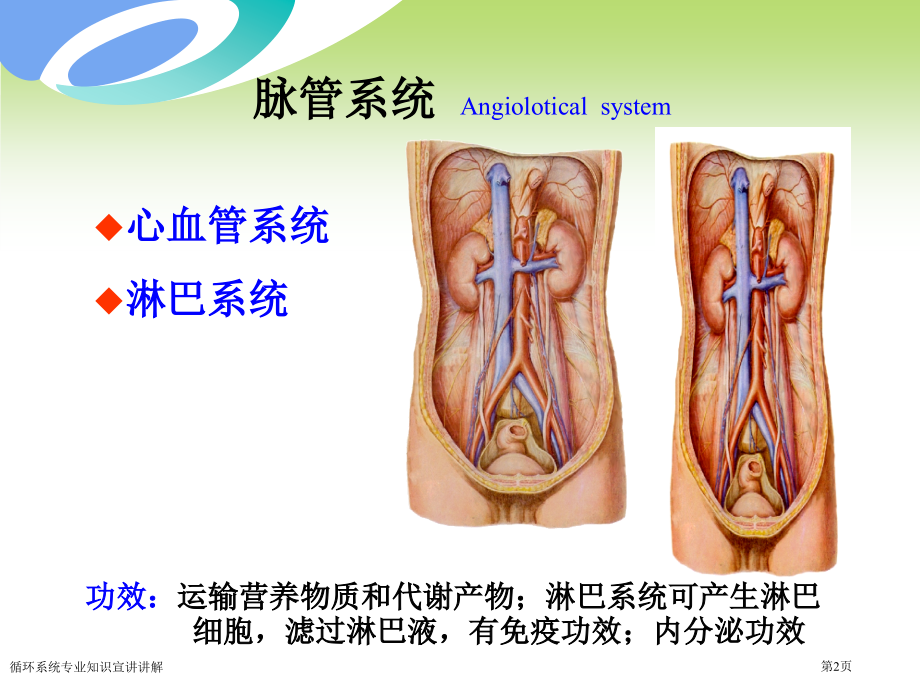 循环系统专业知识宣讲讲解专家讲座.pptx_第2页