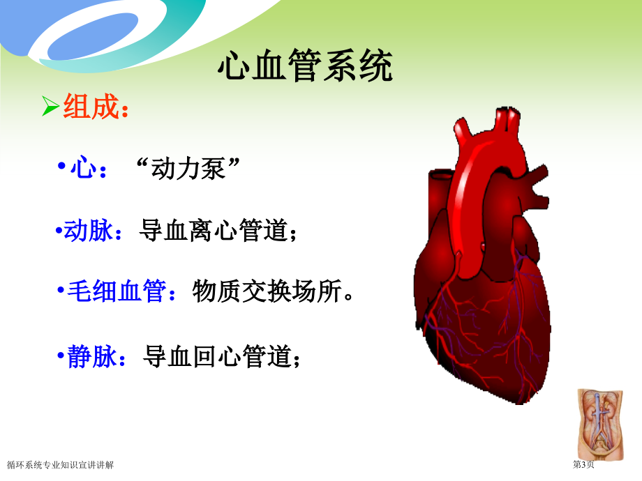 循环系统专业知识宣讲讲解专家讲座.pptx_第3页