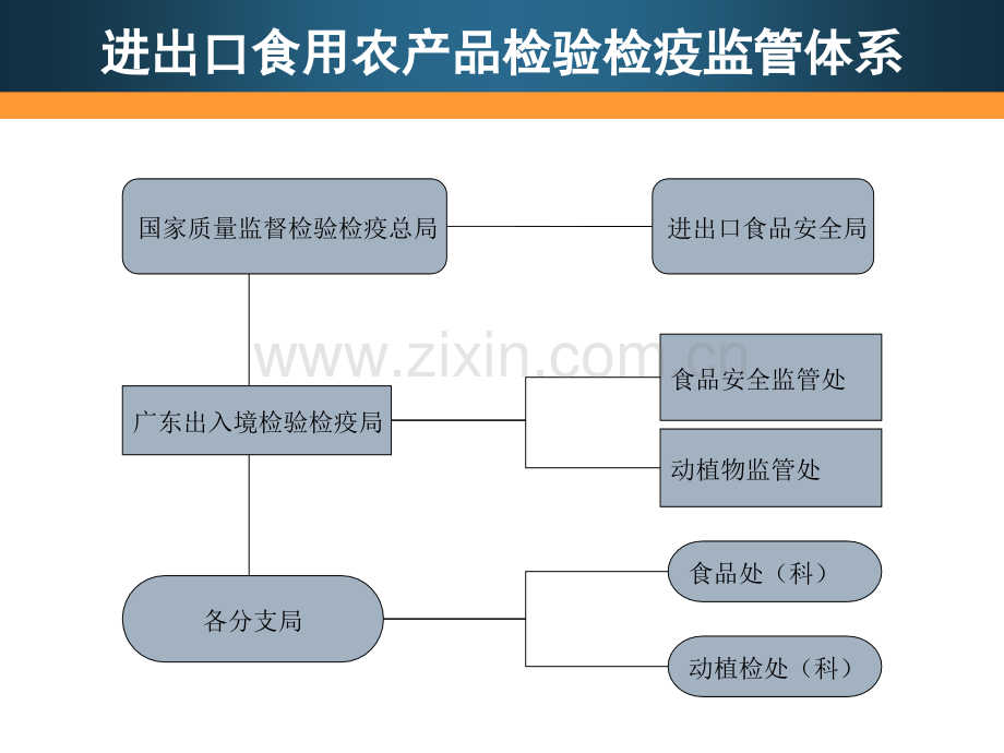 进出口食用农产品检验检疫监管体系简介广东检验检疫局王伟.pptx_第3页