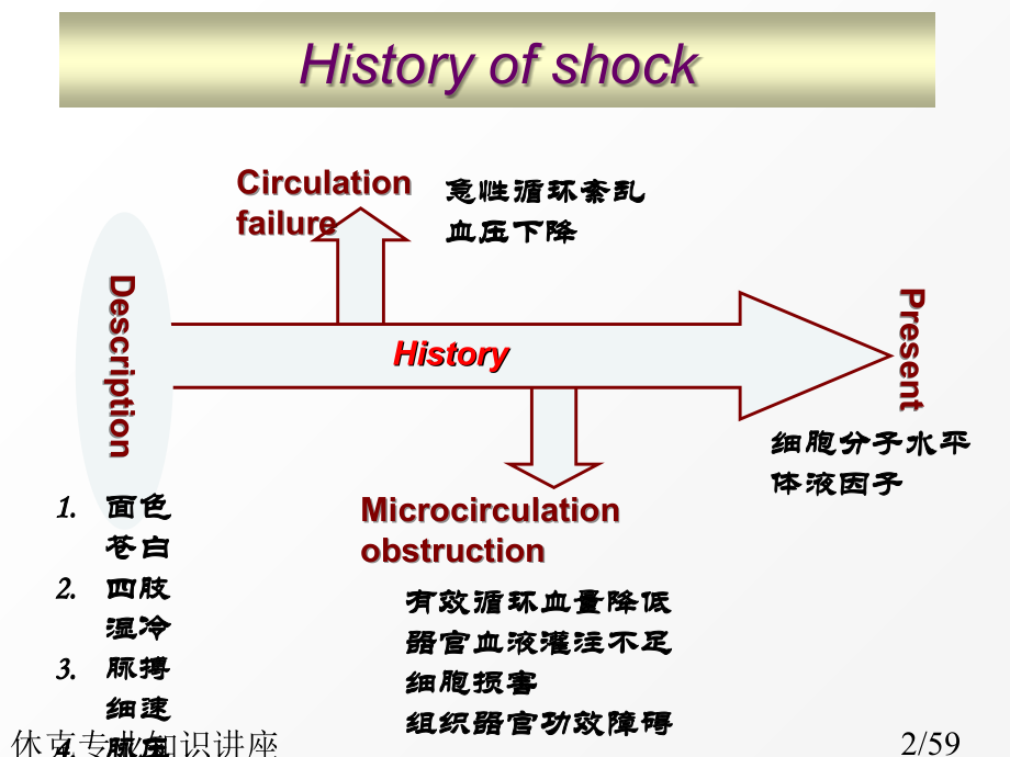 休克专业知识讲座.ppt_第2页