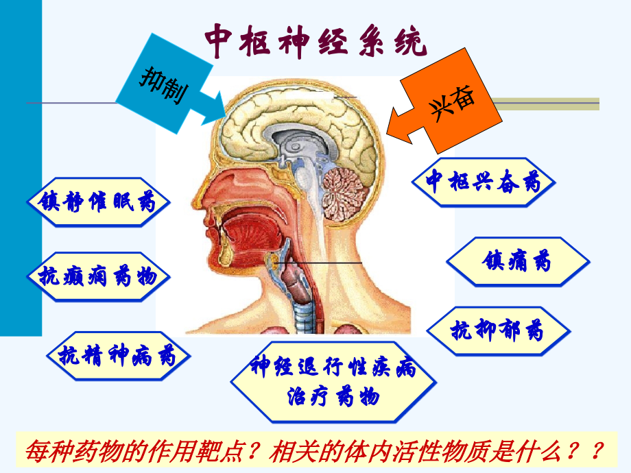 第二章-中枢神经系统药物ppt课件.pptx_第2页