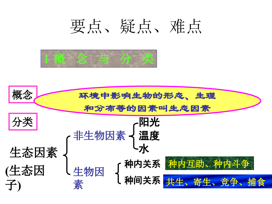 高三生物生态因素.pptx_第1页