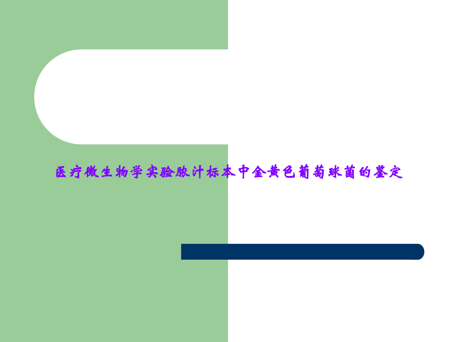 医疗微生物学实验脓汁标本中金黄色葡萄球菌的鉴定.ppt_第1页