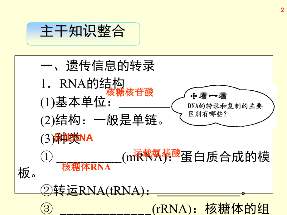 高三生物复习基因指导蛋白质的合成及.pptx_第2页