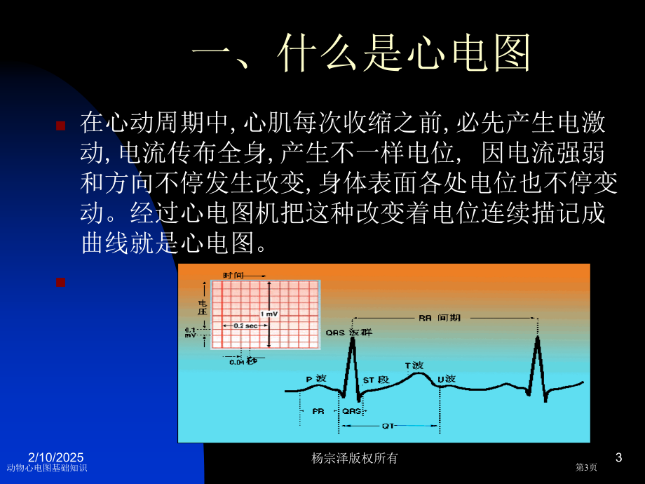 动物心电图基础知识.pptx_第3页