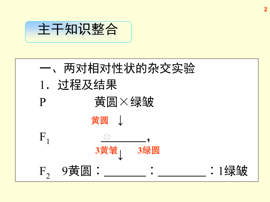 高三生物复习课件孟德尔的豌豆杂交实验二.pptx_第2页