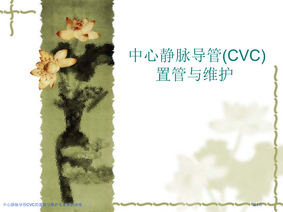 中心静脉导管CVC的置管与维护专业知识讲座专家讲座.pptx_第1页