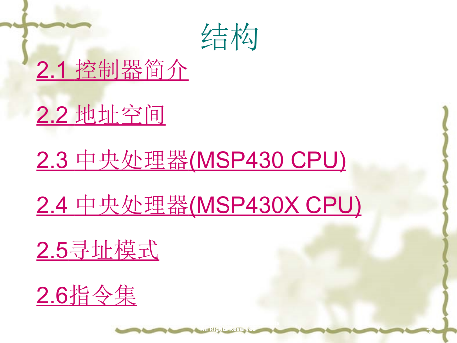 第二章MSP430体系结构.pptx_第2页