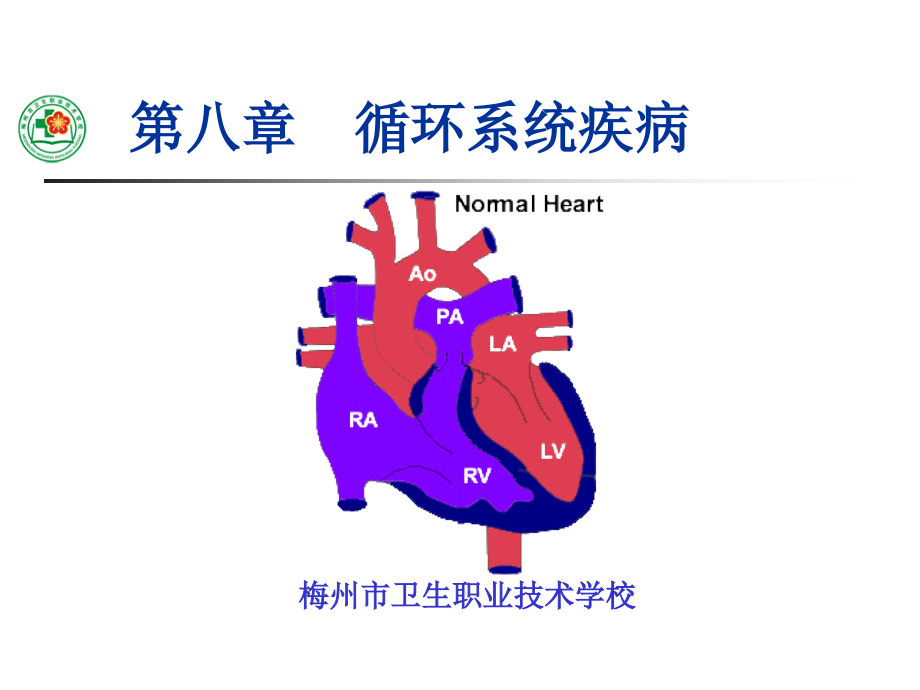 儿科学循环系统疾病.pptx_第1页