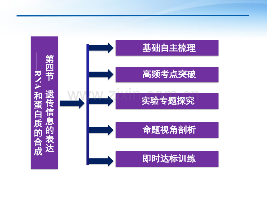 优化方案2012高考生物总复习-遗传信息的表达RNA和蛋白质的合成-浙科版必修.pptx_第2页