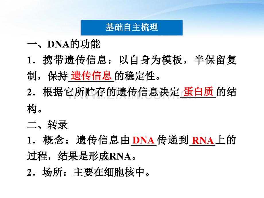 优化方案2012高考生物总复习-遗传信息的表达RNA和蛋白质的合成-浙科版必修.pptx_第3页