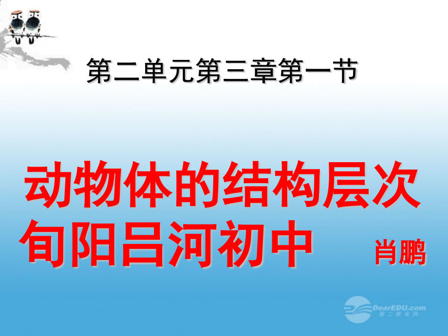 七年级生物上册231动物体的结构层次人教新课标版新.pptx_第1页