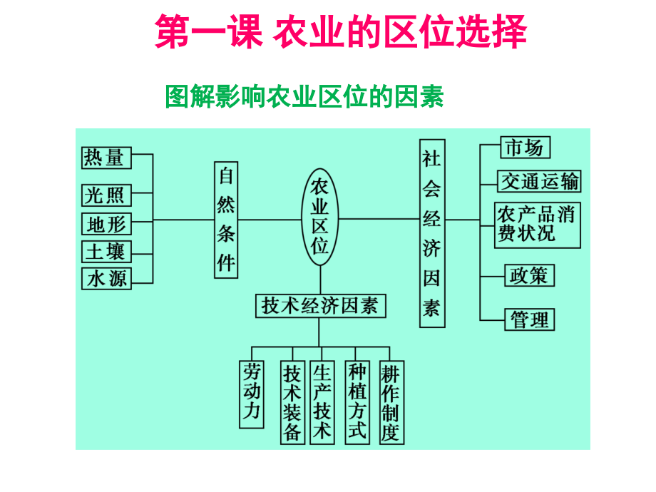 复习农业的区位选择.pptx_第3页