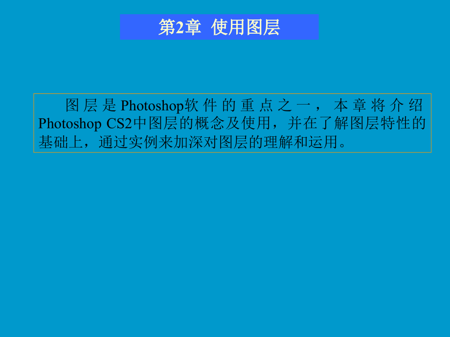 photoshop使用图层.pptx_第2页