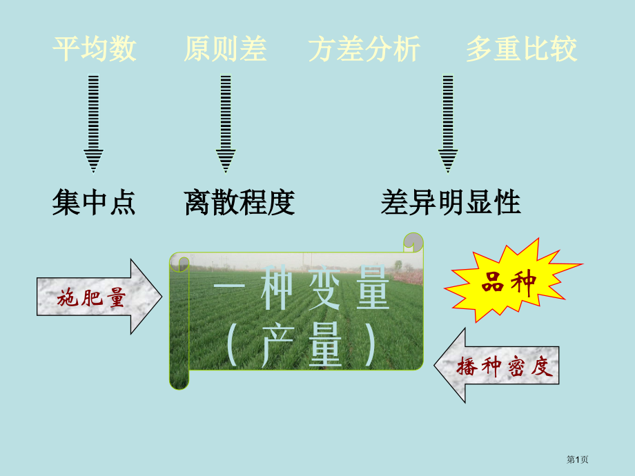 直线回归和相关分析公开课获奖课件.pptx_第1页