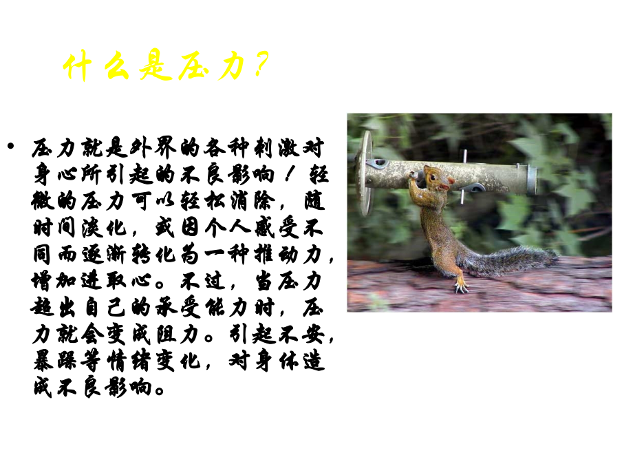 压力与健康ppt课件.ppt_第2页