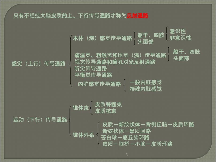 神经系统传导通路.ppt_第3页