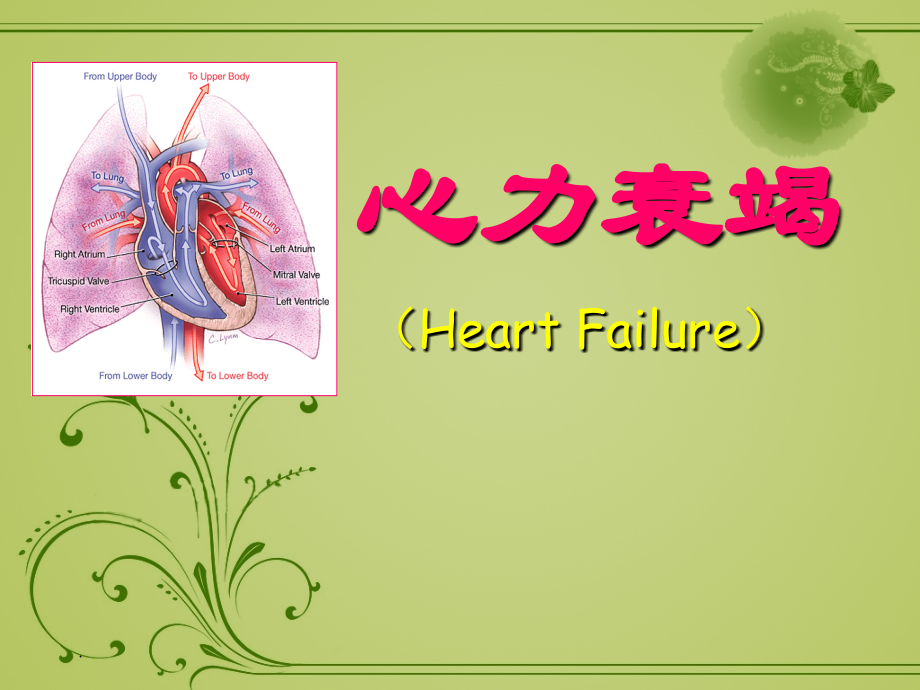 心力衰竭课件.ppt_第1页