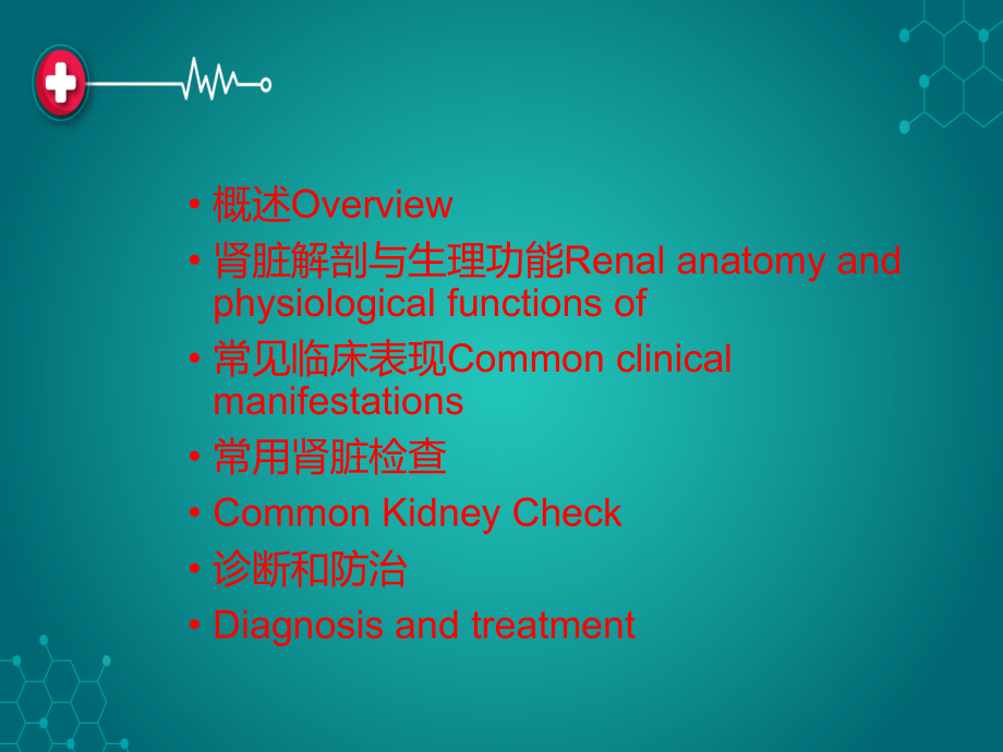 泌尿系统疾病总论中英.ppt_第2页