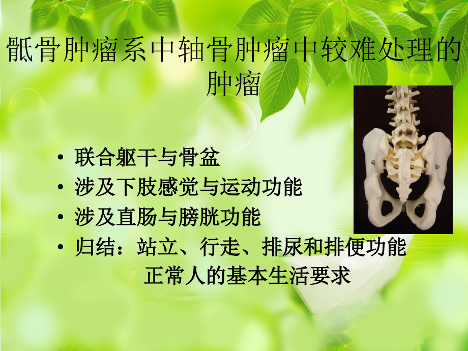 骶骨肿瘤的手术治疗.ppt_第2页