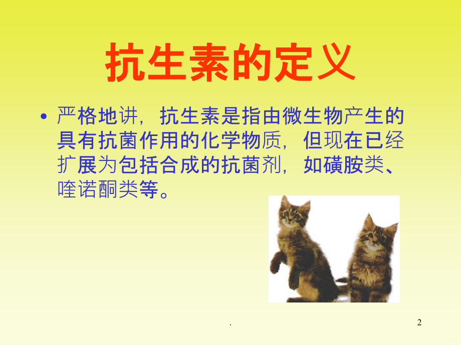 犬猫临床抗生素的应用.ppt_第2页