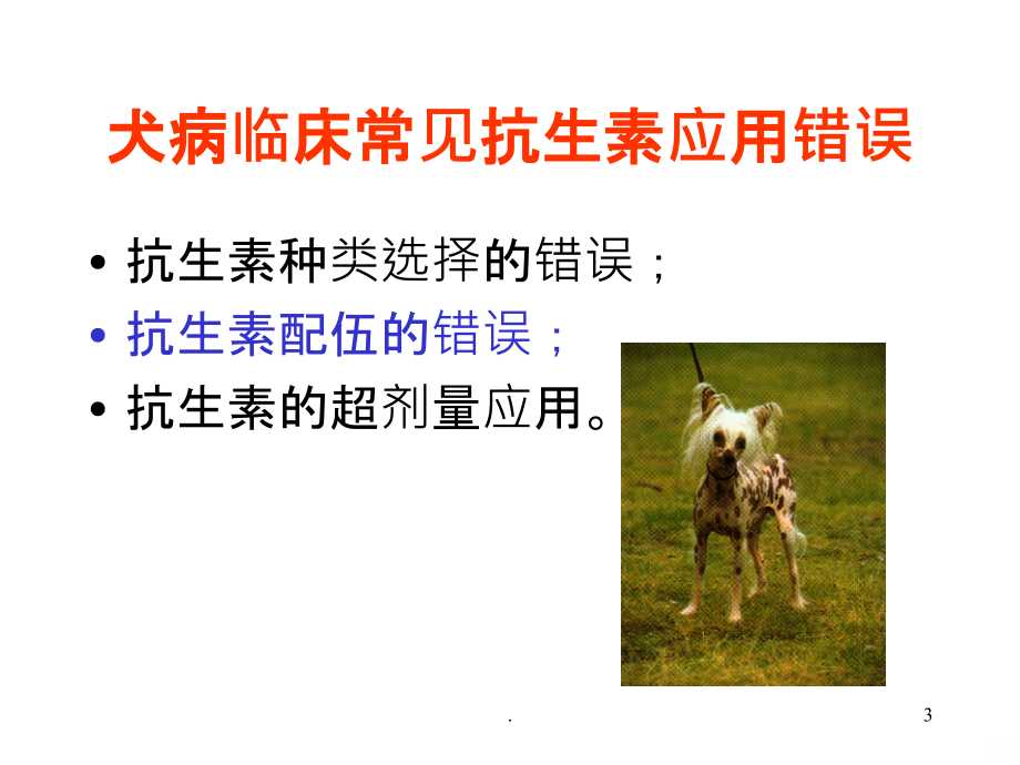 犬猫临床抗生素的应用.ppt_第3页