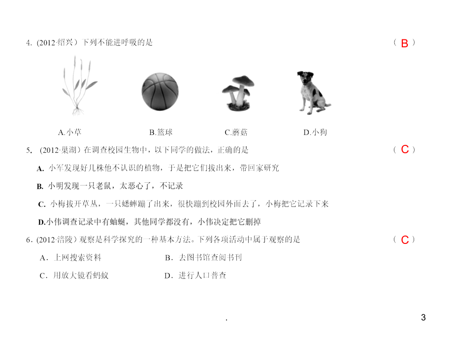 七上册生物复习汇编.ppt_第3页