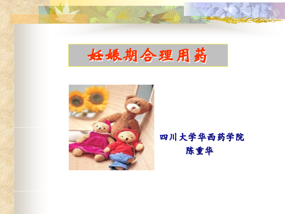 妊娠期的合理用药.ppt_第1页