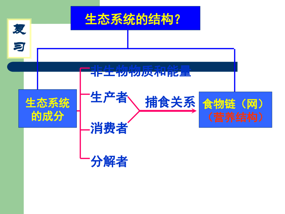 生态系统的能量流动ppt.ppt_第1页